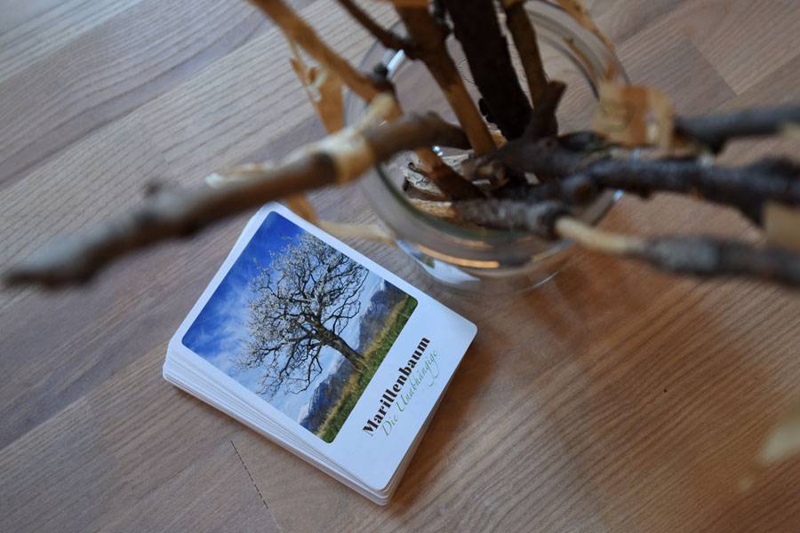 Kartenset: Baumkarten und Hölzer